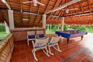 Las margaritas en la vega