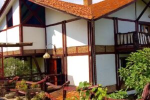 Las margaritas salento