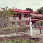 Las orqu&iacute;deas