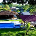 Las Orqu&iacute;deas