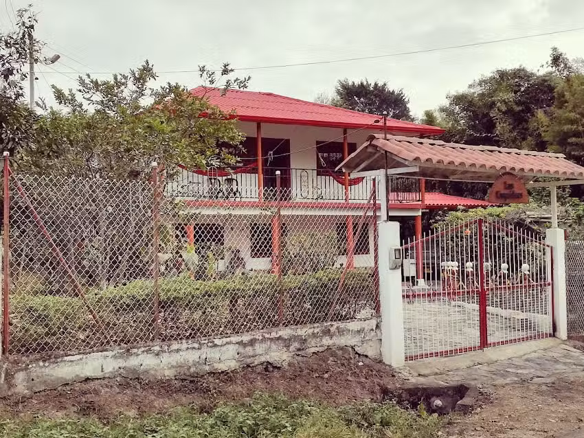 Las orqu&iacute;deas