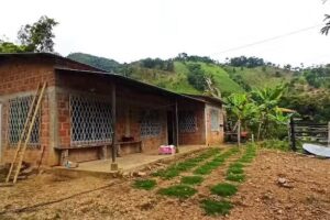 Lecheria la esperanza