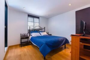 LOFT APARTMENT IN CENTRAL LOCATION (301)