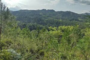 Loma &aacute;lta Riosucio tambo