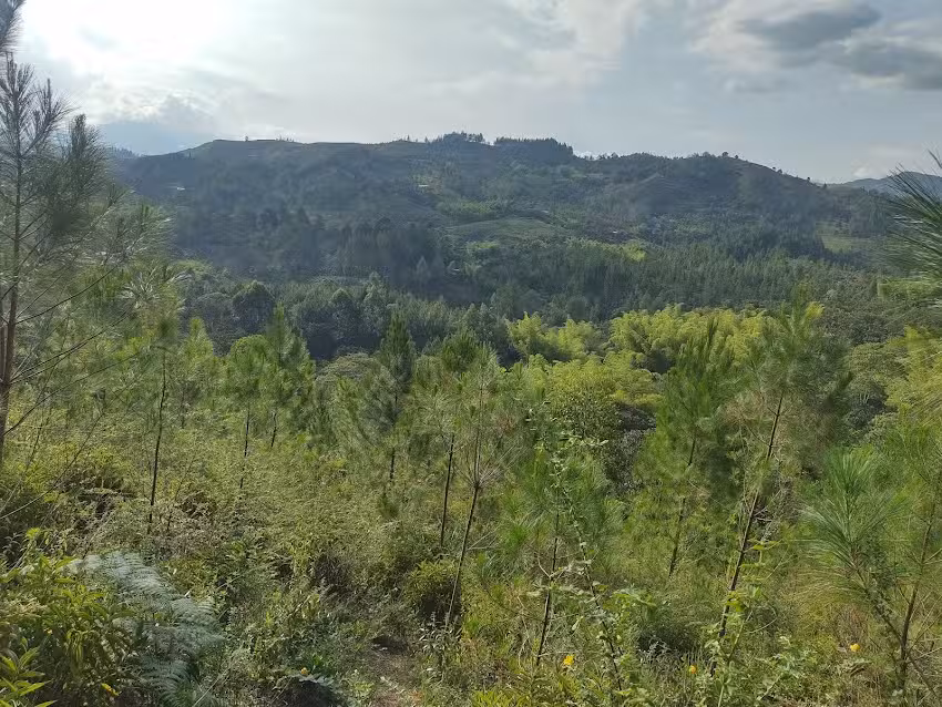 Loma &aacute;lta Riosucio tambo