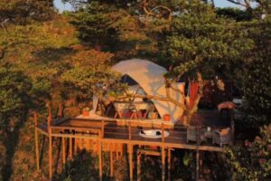 LOS ANGELES Glamping