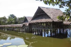 Los Delfines Hospedaje