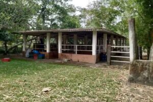 Los Gavanes Posada Llanera