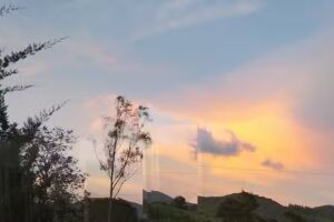 Los Niños de la Barra