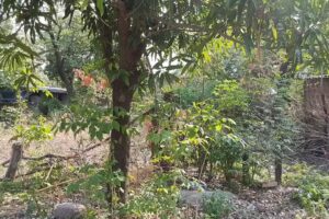 Lote barrio Hernan Gomez