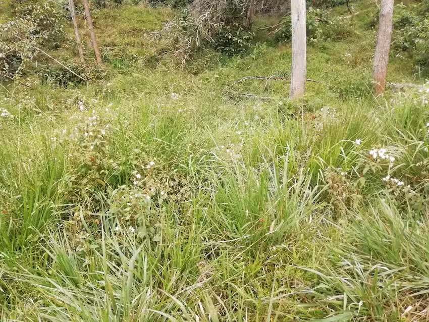 Lote &ndash; Futuro Caba&ntilde;as EcoHouse