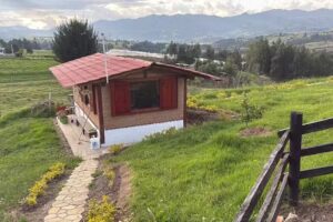 Lugar de acogida para camper Van- motor home, El Olivo