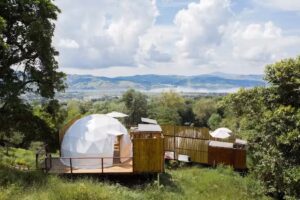 MACA glamping