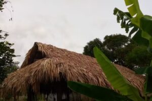 Macondo del Sin&uacute; Campestre