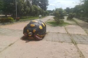 Malec&oacute;n Rio Cusina Man&iacute;
