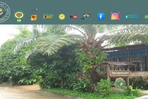 Malokamazonas Hotel, Travel & Birding