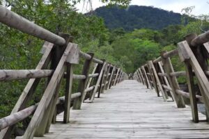 Mamá Orbe Family Eco Farm