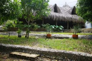 Mama Tayrona hostel