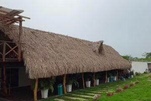Ma&ntilde;anita de invierno