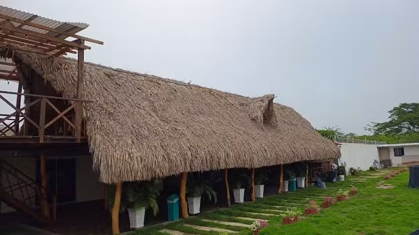 Ma&ntilde;anita de invierno