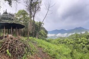 Mandala Farms & Wild Sanctuary Refuge