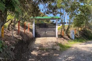 Mandarina Natural House