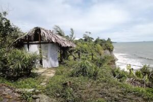 Mangle House Cabañas RNT: 167428