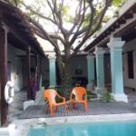 Mango Tree Hostel