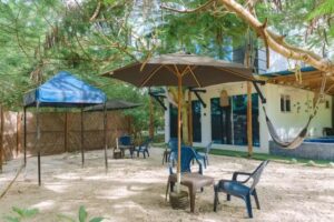 Mango Tree Island 420