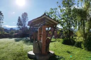 Mano de Oso: Lupino, Yarumo y Encenillo