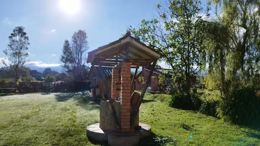 Mano de Oso: Lupino, Yarumo y Encenillo