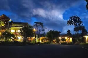 Matisses Hotel & SPA