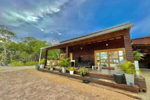 Medusa Hostal Isla Tintip&aacute;n