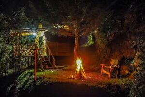 Mi Caba&ntilde;a En El Bosque