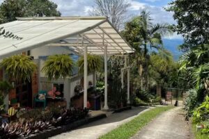 Mi Caba&ntilde;a Resort