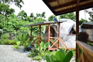 Mi casa es tu casa glamping