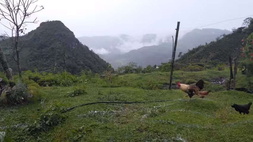 Mirador argentina Alta