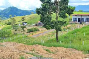 Mirador colinas del llano