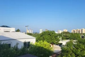 Mirador de las gaviotas