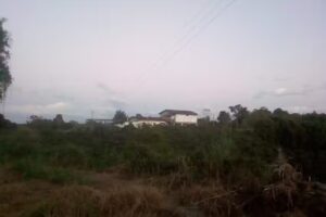 Mirador de las Guaduas Finca Hotel