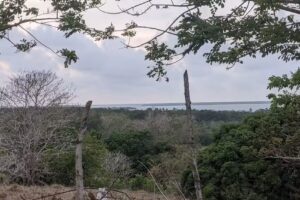 Mirador de Playa Blanca Caba&ntilde;as