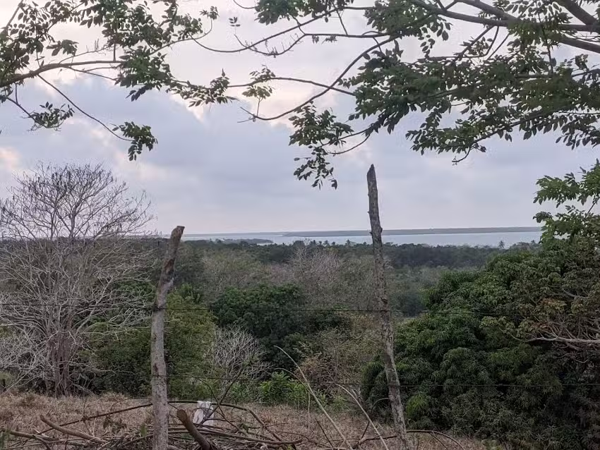 Mirador de Playa Blanca Caba&ntilde;as