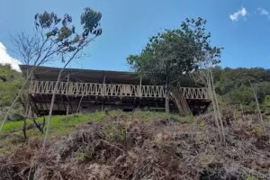 Mirador los Guarinoes