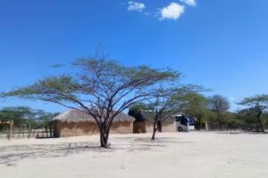 Molino de Viento Rancher&iacute;a Dividivi