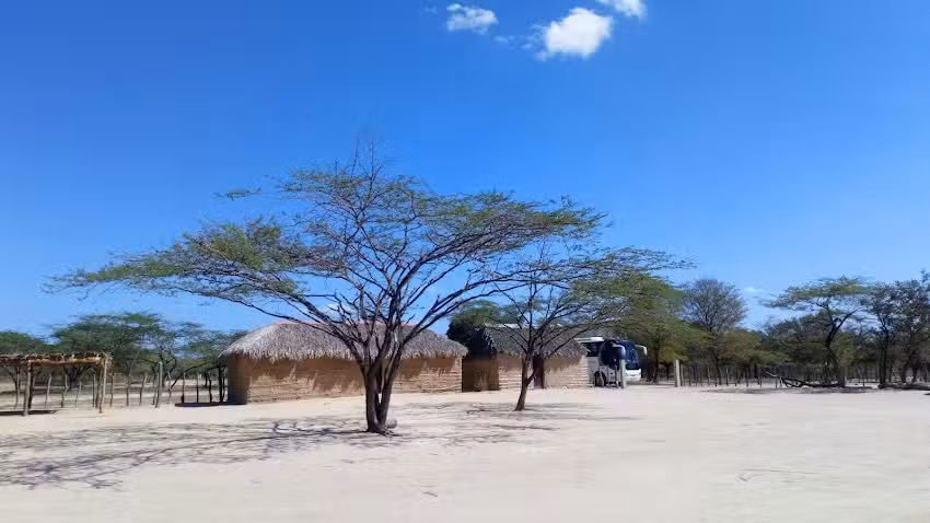 Molino de Viento Rancher&iacute;a Dividivi