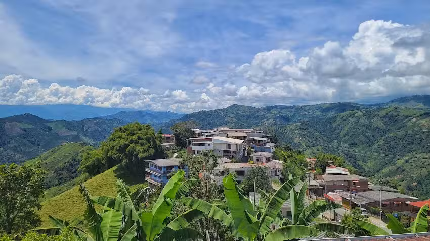 Monte Verde