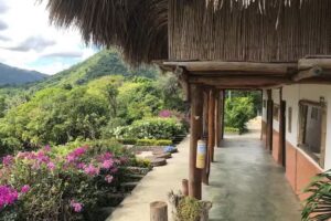 Moon Wind Tayrona Hostel