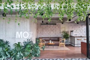 Mosaic Studios Buenavista