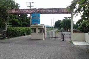 Motel Las Caba&ntilde;as del Rey