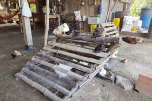 MOTEL REY DE CORAZONES